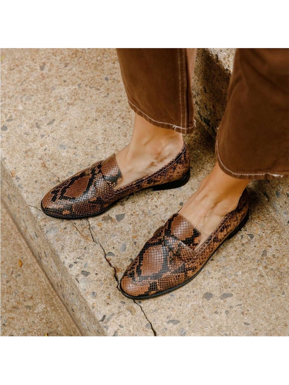 Margaux The Andie Loafer in Espresso Python Embossed in Size US 7.5 EU 38